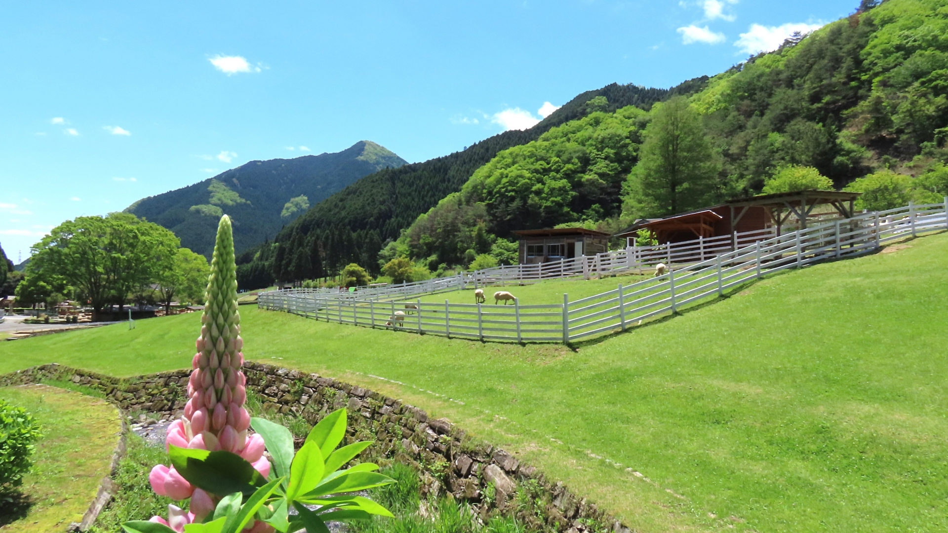 ヨーデルの森