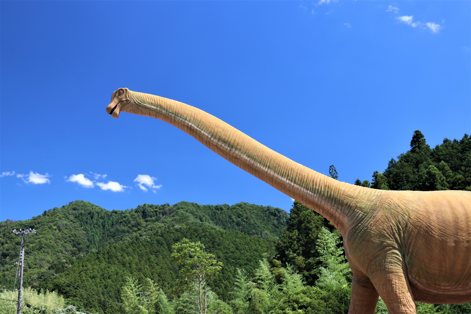 丹波ちーたんの館