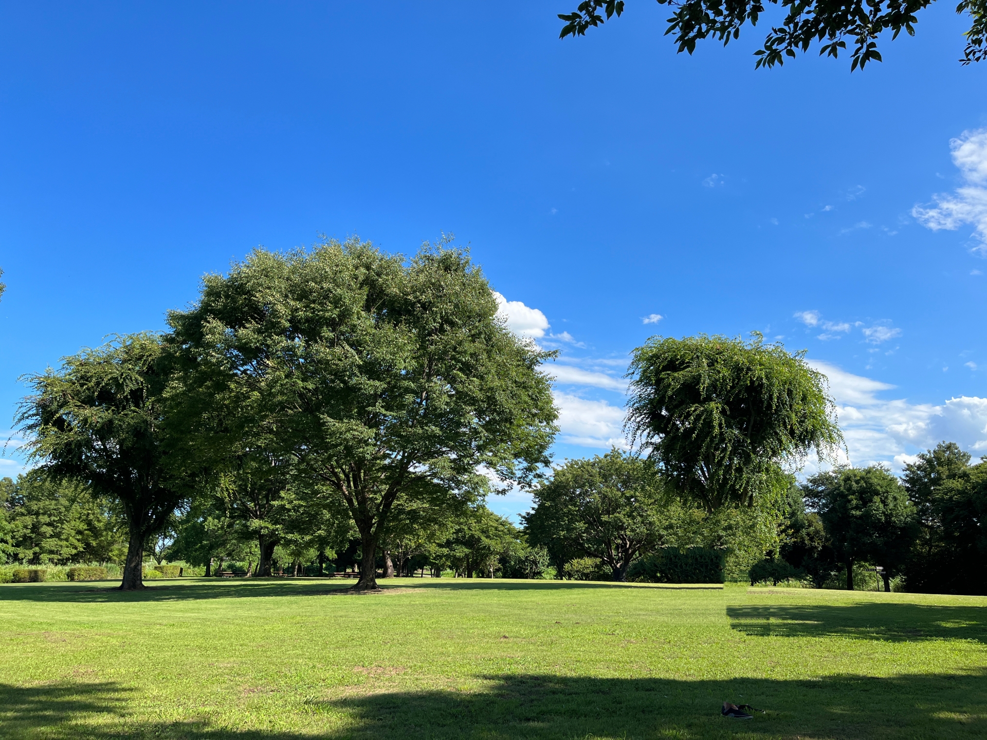 丹波年輪の里（デモ）
